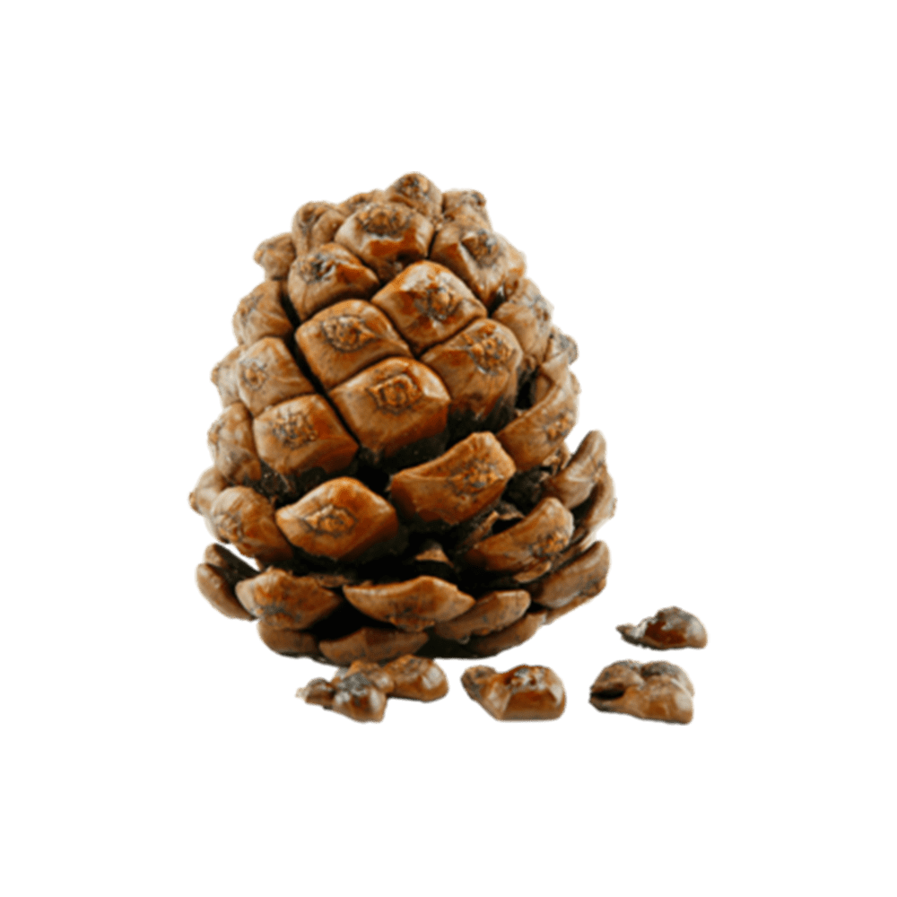 Amerikaanse-cederhout